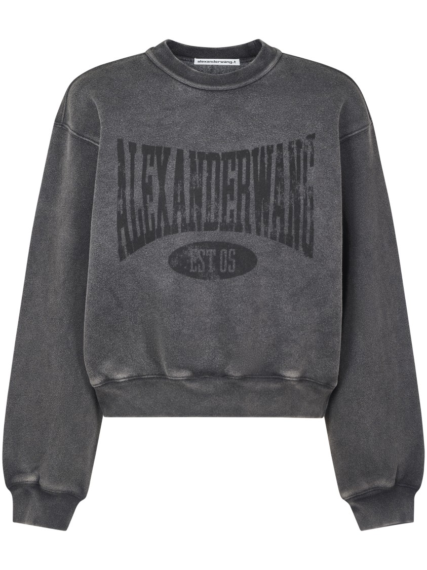 Alexander Wang Graphic Crewneck Sweatshirt In Gray