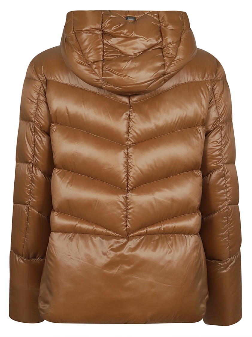 Herno Padded Jacket In Brown