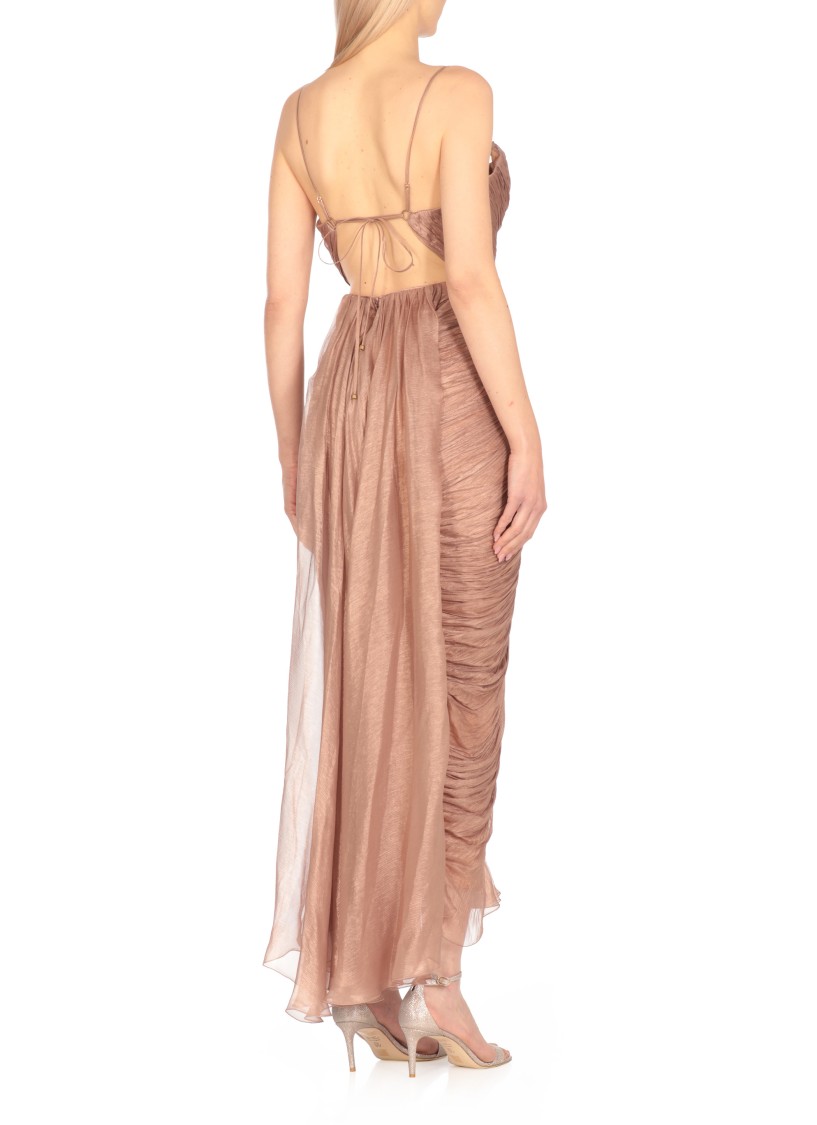 Shop Maria Lucia Hohan Regina Dress In Pink
