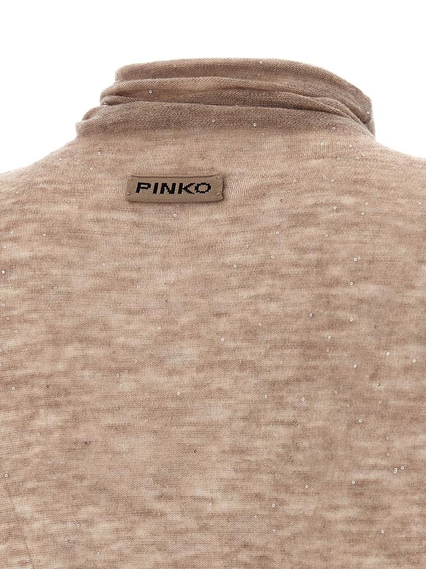 Pinko 'moss' Sweater In Brown