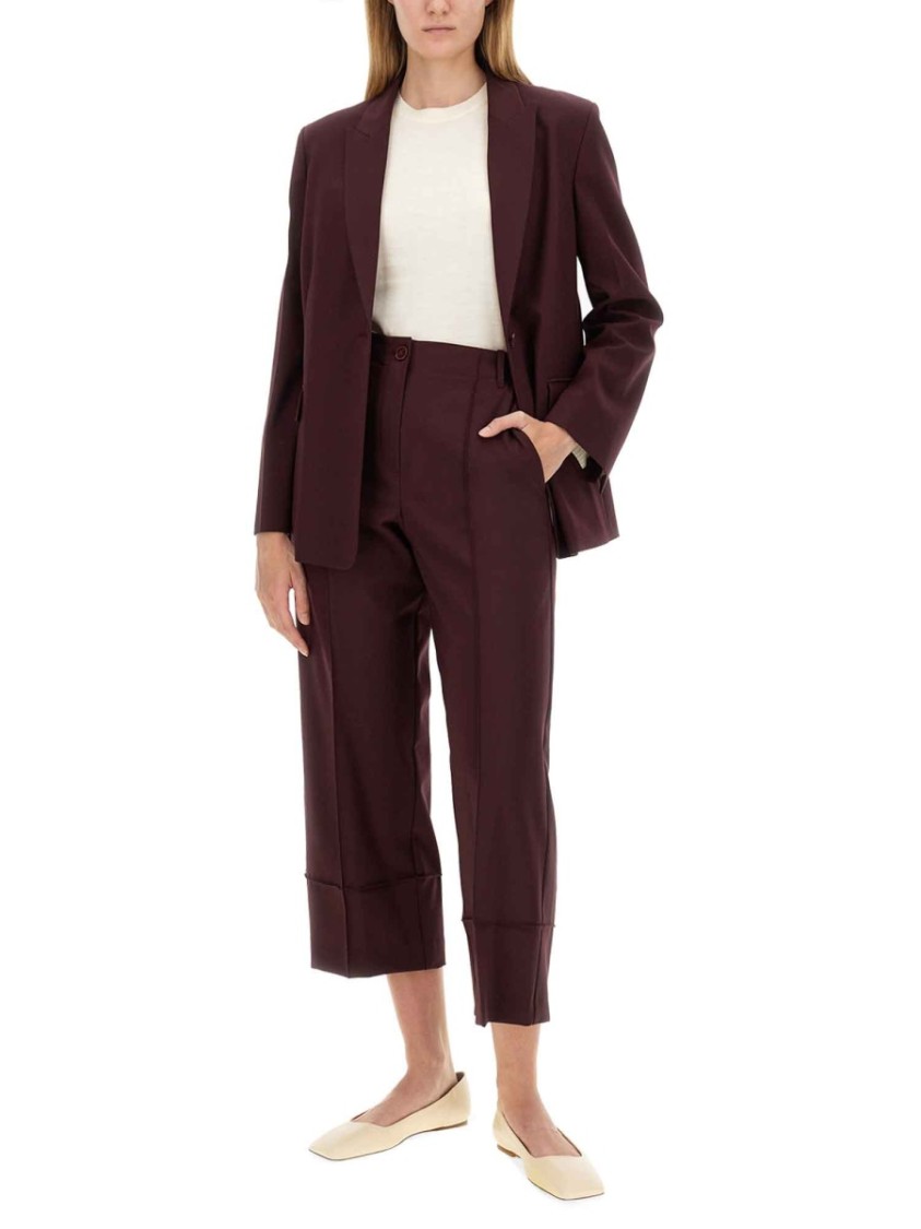 Alysi Single-breasted Blazer In Burgundy