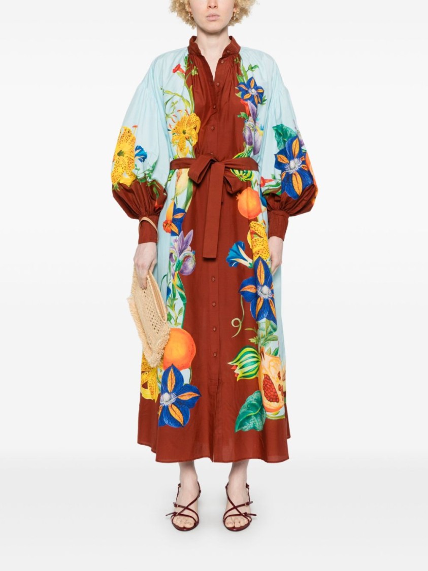 Alemais Dahlia Printed Cotton-blend Midi Shirt Dress In Blue