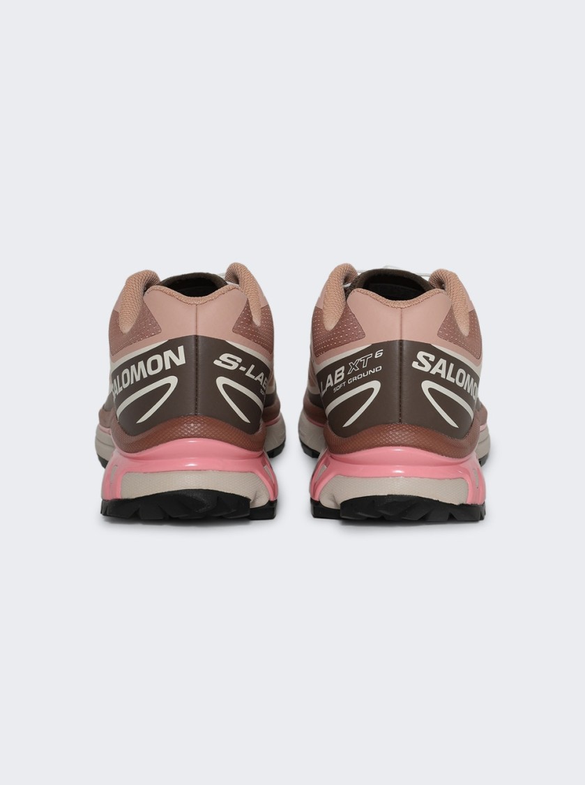 Salomon Xt-6 Sneakers In Pink