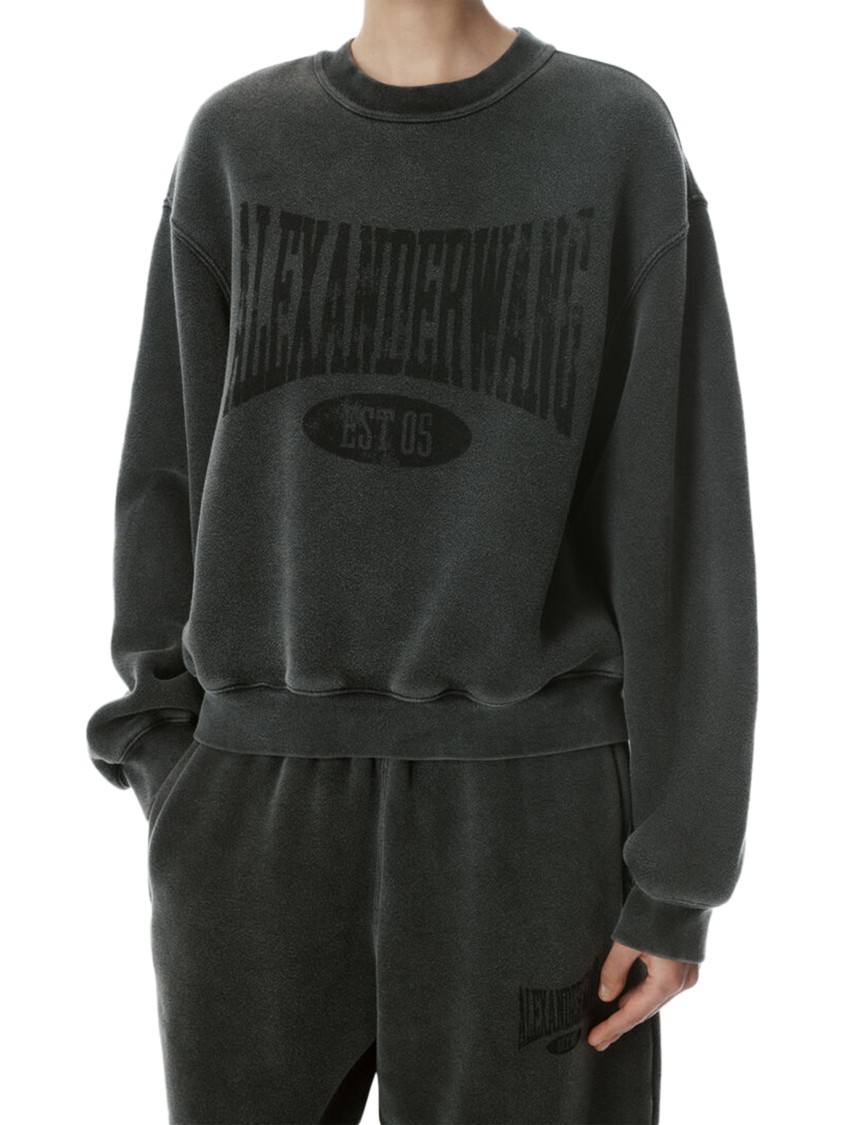 Alexander Wang Graphic Crewneck Sweatshirt In Gray