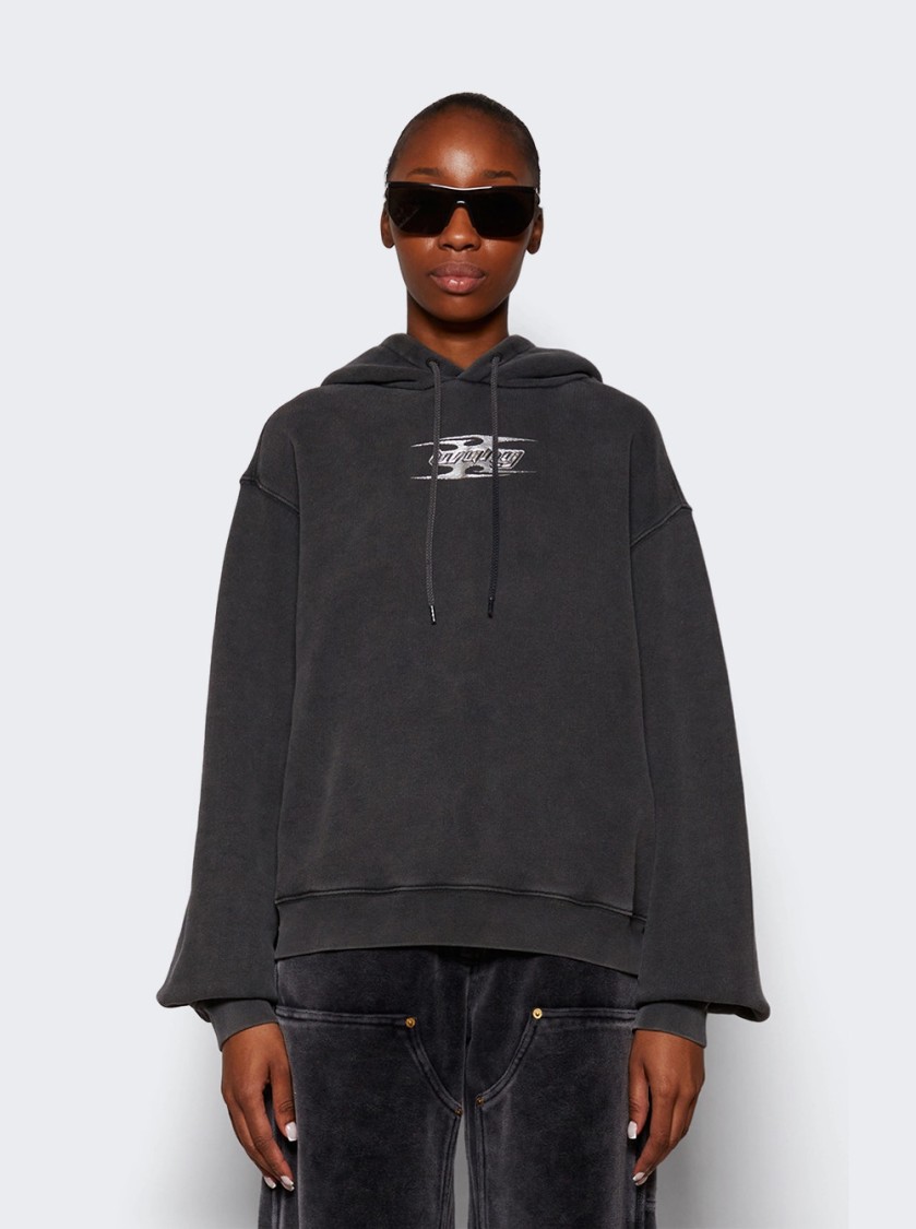 Alexander Wang T T By Alexander Wang Blade Logo Hoodie Washed Cedar