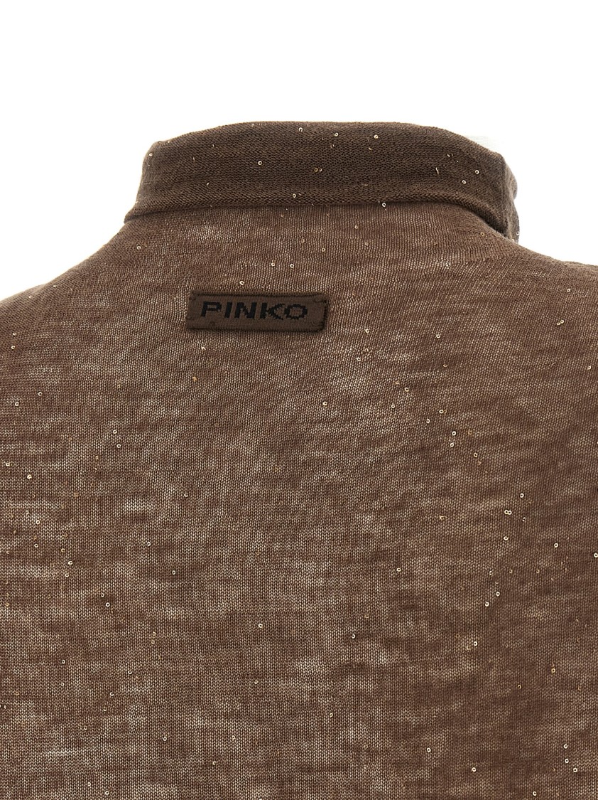 Pinko Sweater In Brown