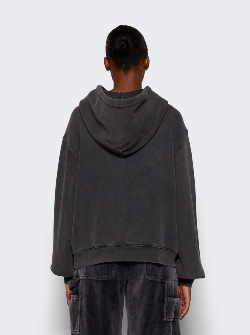 Alexander Wang T T By Alexander Wang Blade Logo Hoodie Washed Cedar