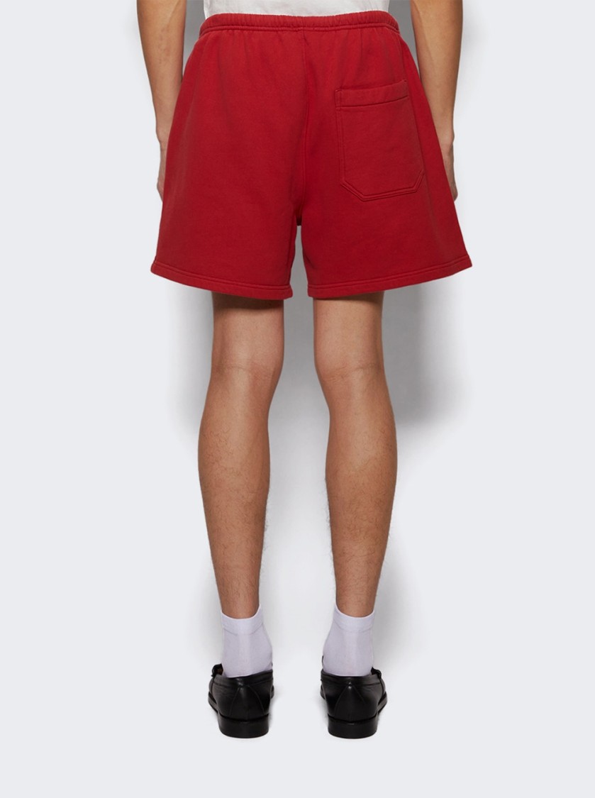 Bode Camper Track Shorts In Red