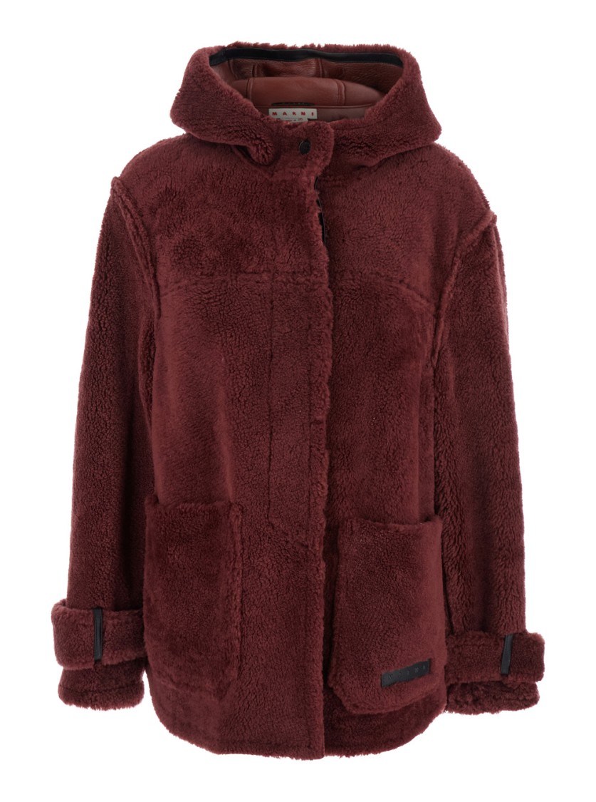 Marni Genuine Shearling Hooded Jacket In Burgundy