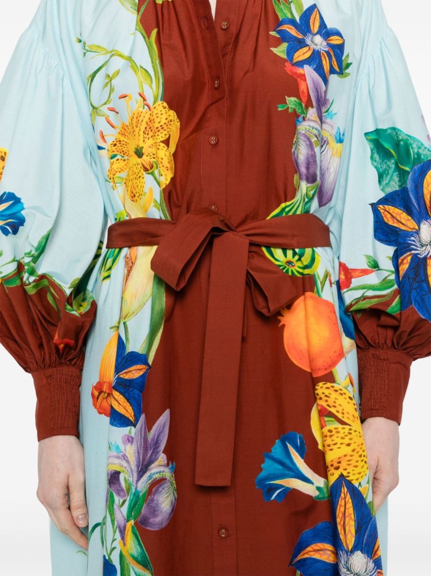 Alemais Dahlia Printed Cotton-blend Midi Shirt Dress In Blue