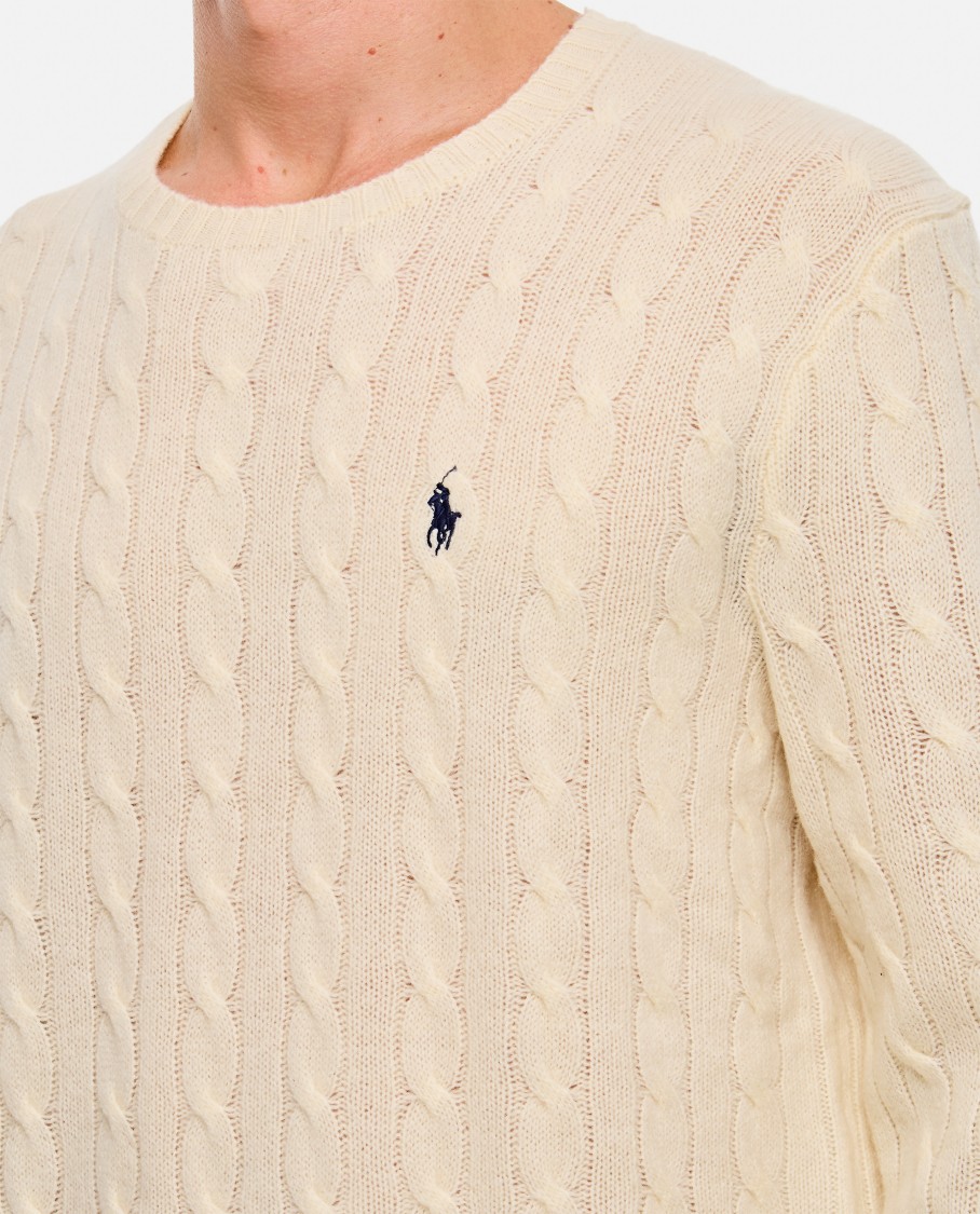 Polo Ralph Lauren Braided Sweater Sweaters And Cardigans In Neutrals
