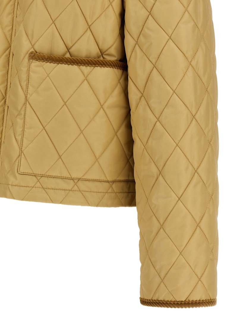 Burberry Oldham Beige Quilted Jacket With Corduroy Collar In Tech Fabric Woman In Yellow