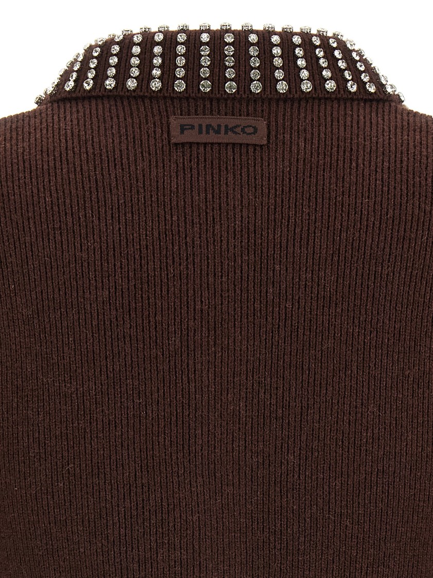 Pinko Emilia Sweater With Strass In Brown