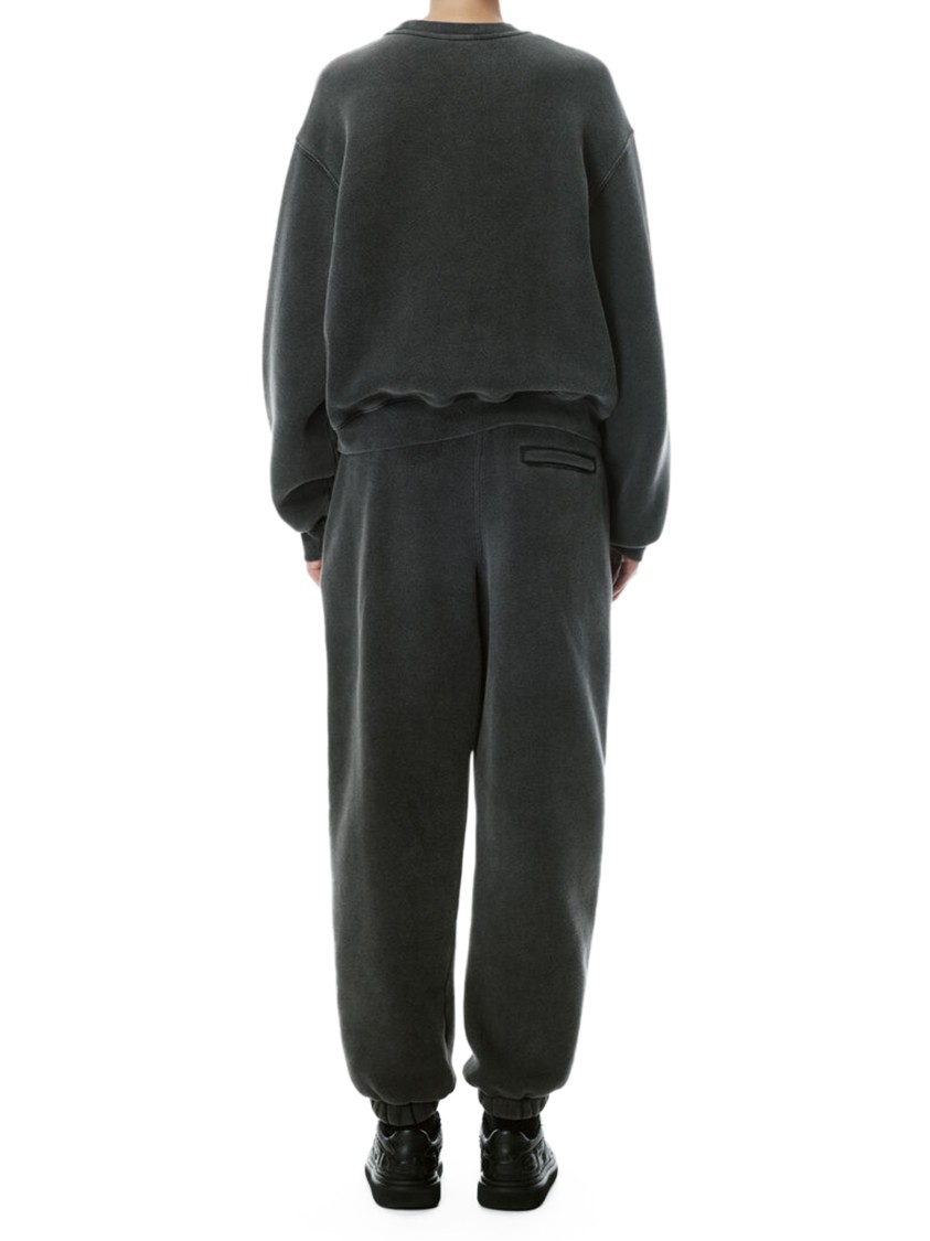 Alexander Wang Graphic Crewneck Sweatshirt In Gray