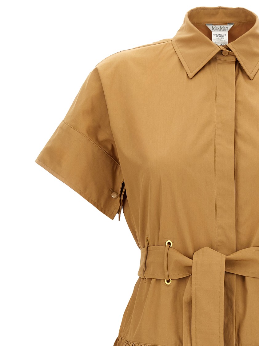 Max Mara Agoraio Cotton Poplin Shirt Dress In Brown