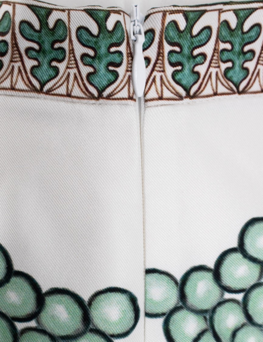 Shop Fabiana Filippi Flared Picta-print Silk Twill Skirt