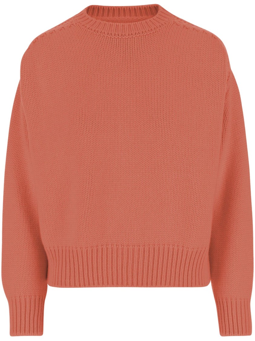 Sa Su Phi Cashmere Sweater With Crew Neck In Brown