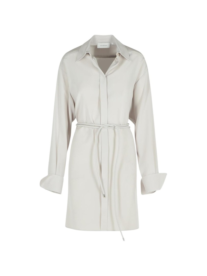 Sportmax Eolie Grey Silk Dress In Silver