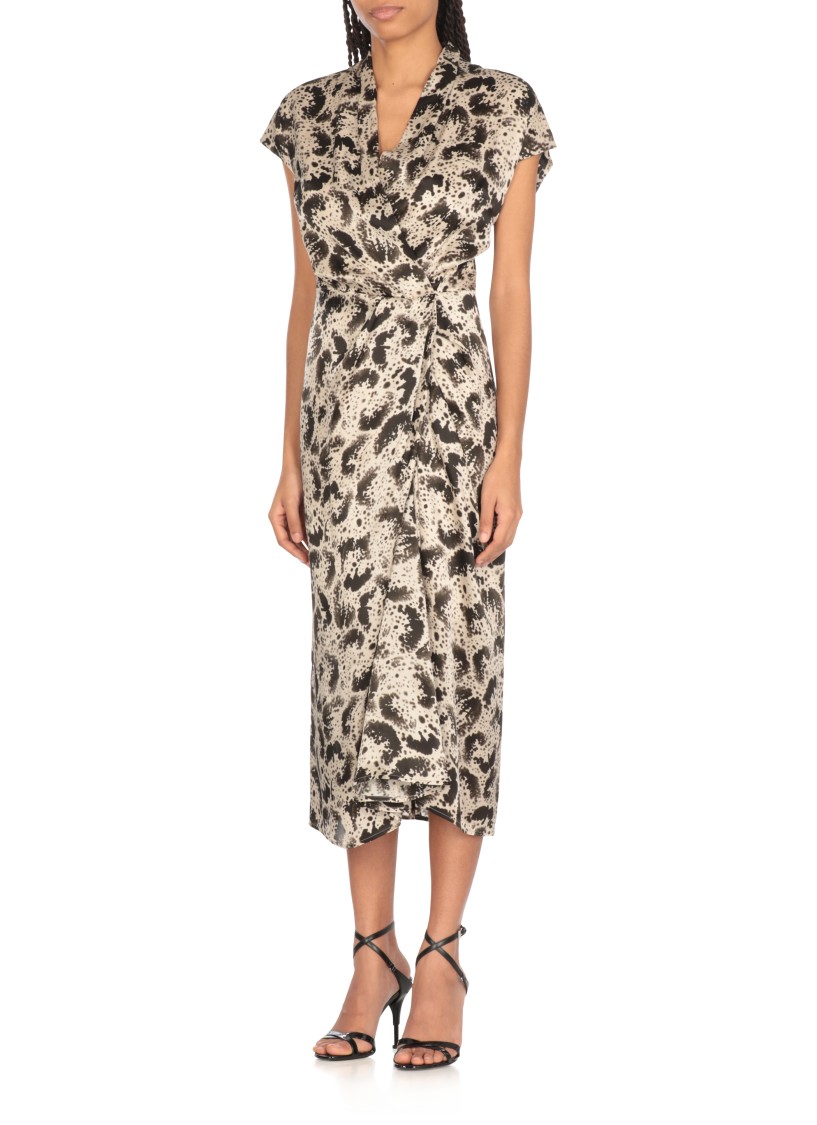 Dries Van Noten Dilian Printed Midi Dress