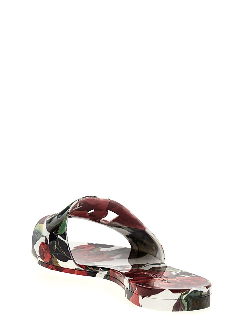 Dolce & Gabbana 'bianca' Slides