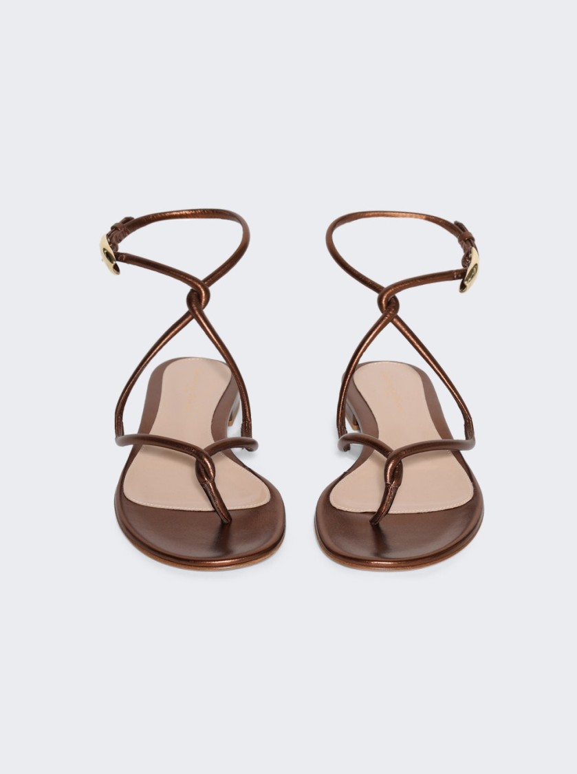Gianvito Rossi Black Mamba Flat Sandals Chocolate In Brown