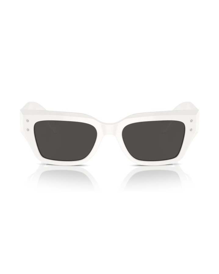 Dolce & Gabbana Black Acetate Frame Sunglasses