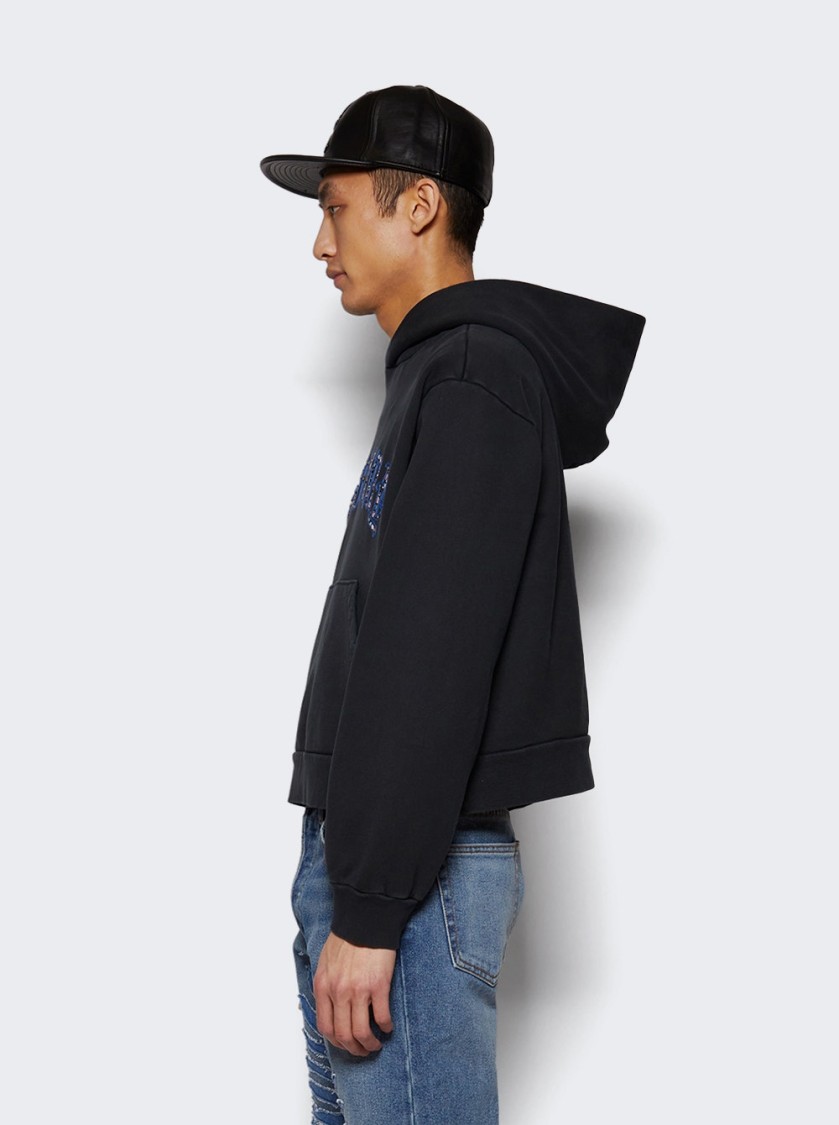 Shop Earthling Vip Hail Mary Hoodie Black