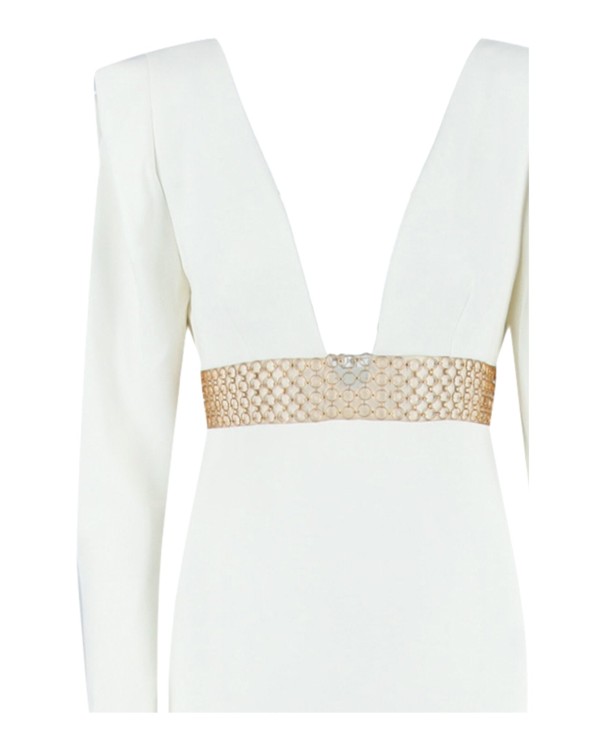 Stella Mccartney Long Sleeve Deep V-Neck Gown | THE LIST