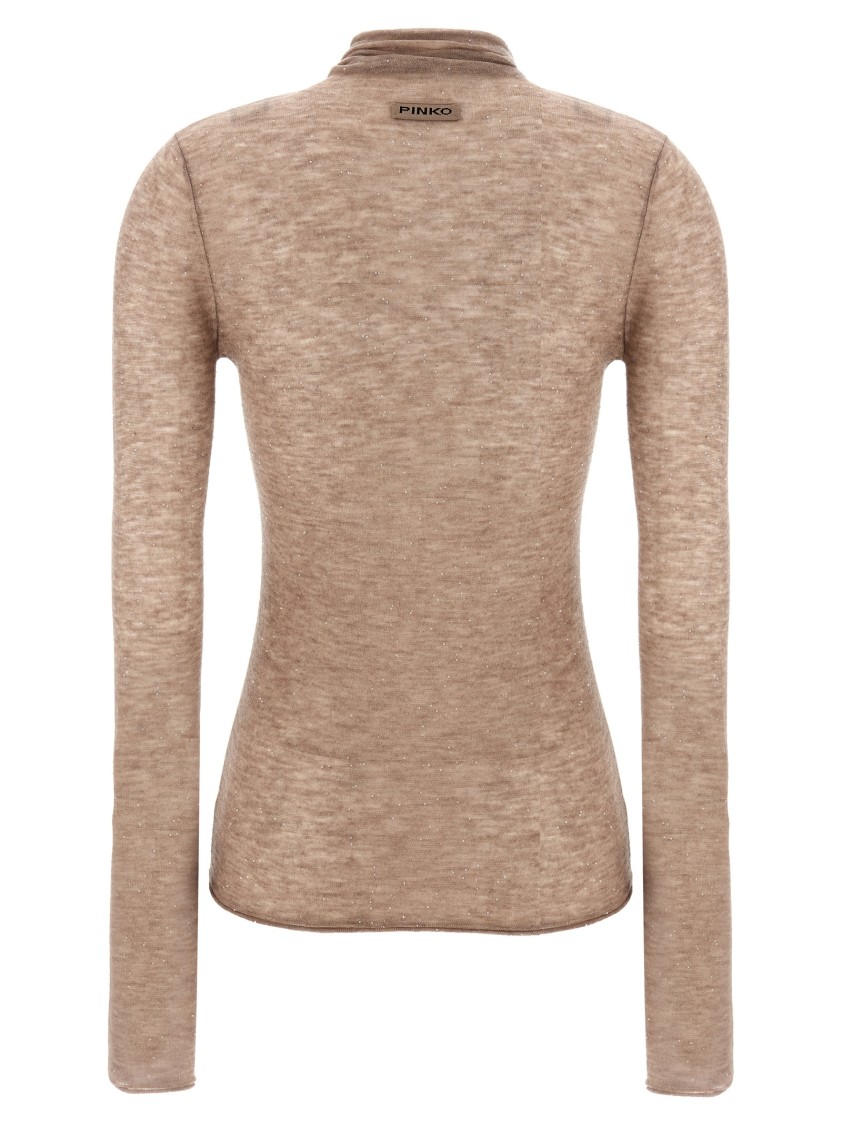 Pinko 'moss' Sweater In Brown