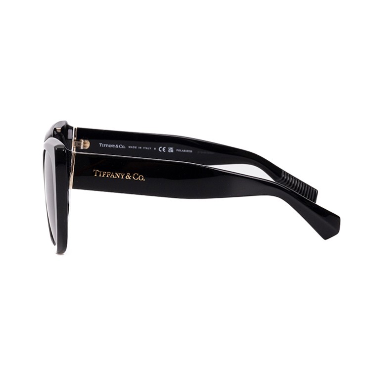 Tiffany & Co . Bold Square Frame Black Acetate Sunglasses
