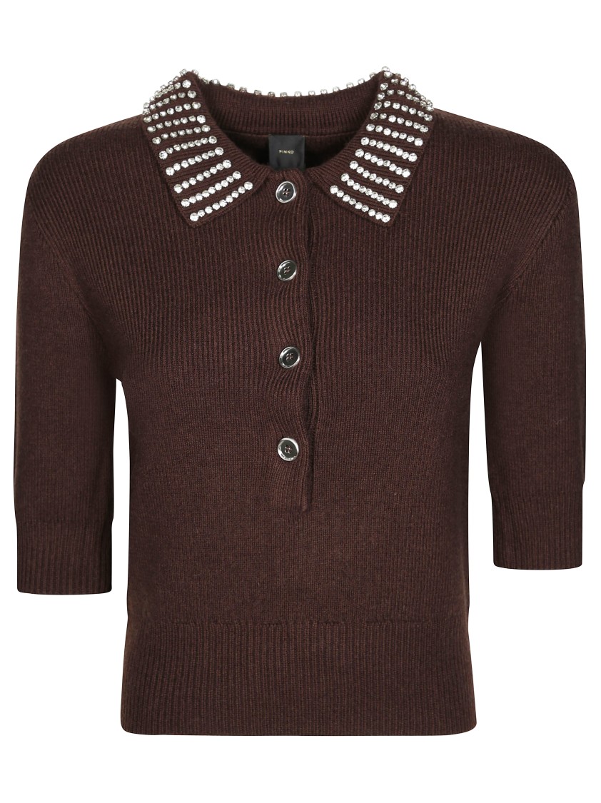 Pinko Emilia Sweater With Strass In Brown