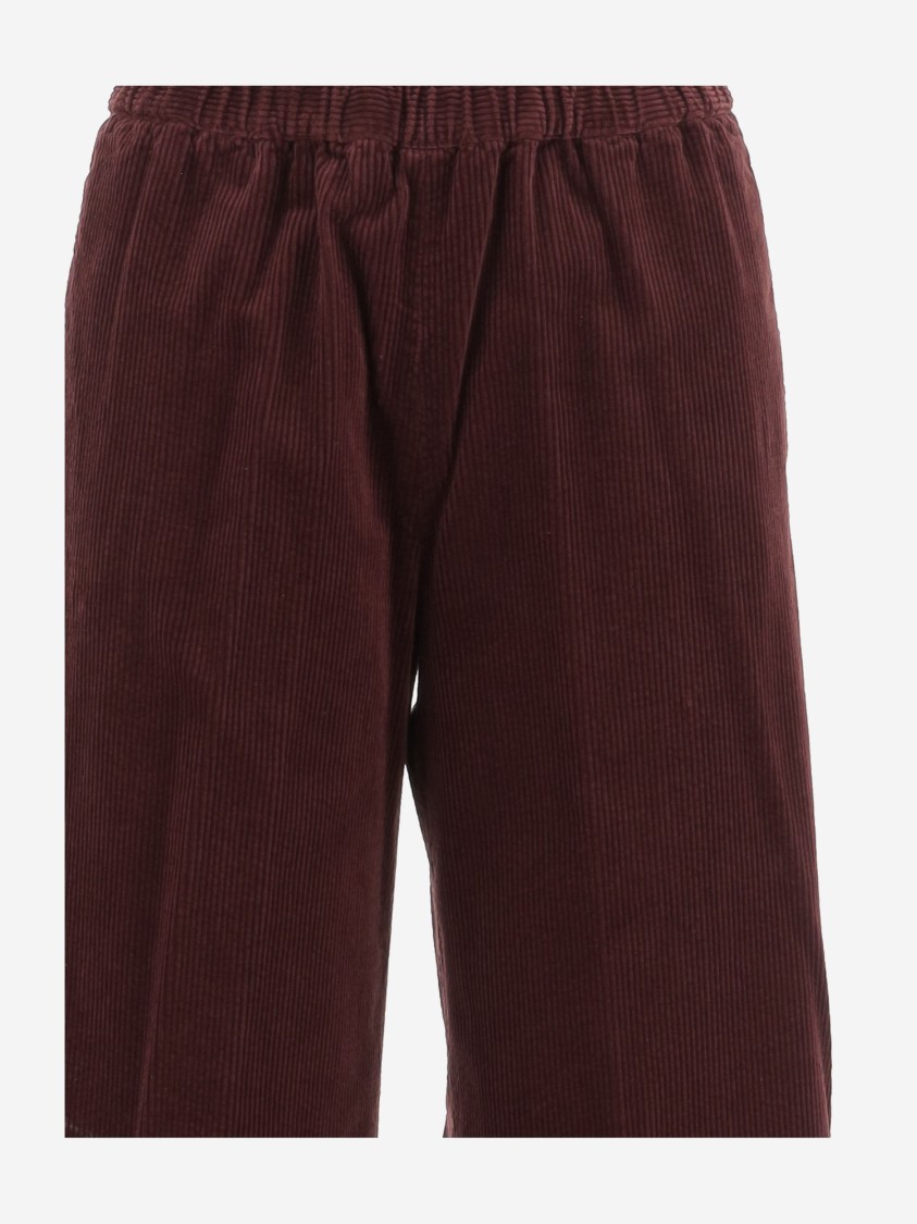 Aspesi Cotton Velvet Pants In Burgundy