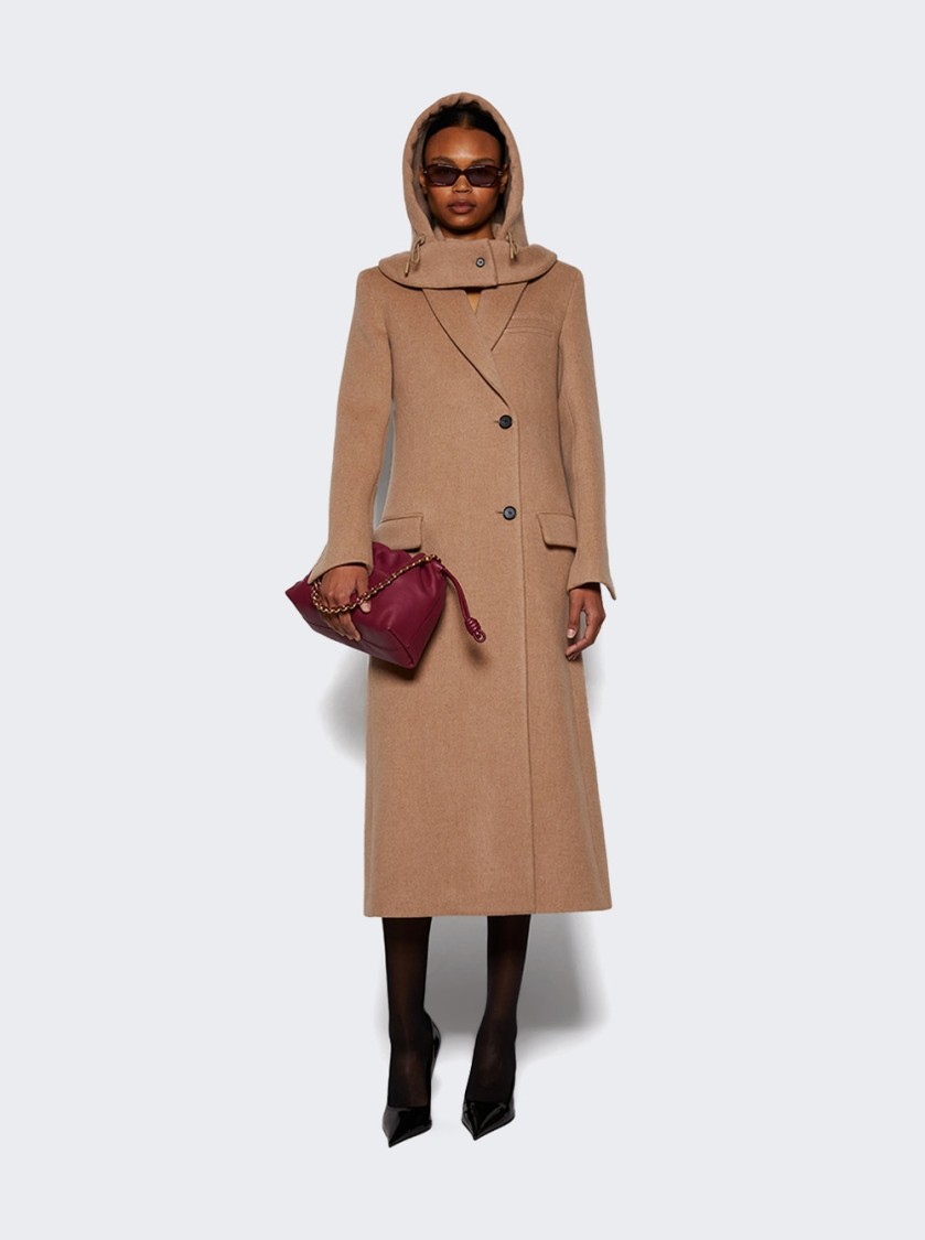 Shop Proenza Schouler Reed Hooded Brushed Melange Wool Coat