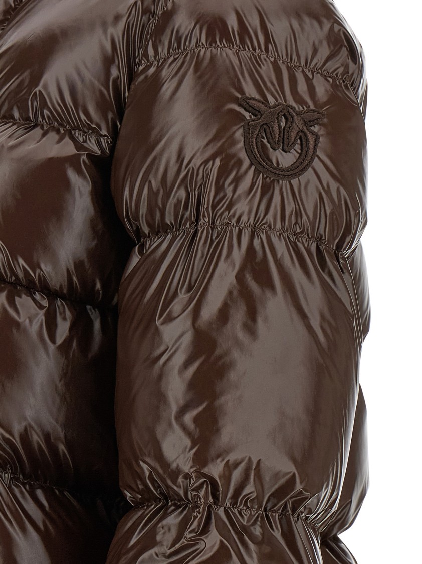 Pinko Eleodoro Puffer Jackets Brown In Brown