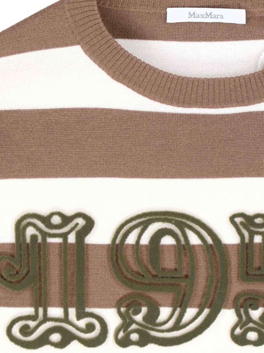 Max Mara Sleeveless Crew Neck Top With Embroidered Detail In Multi
