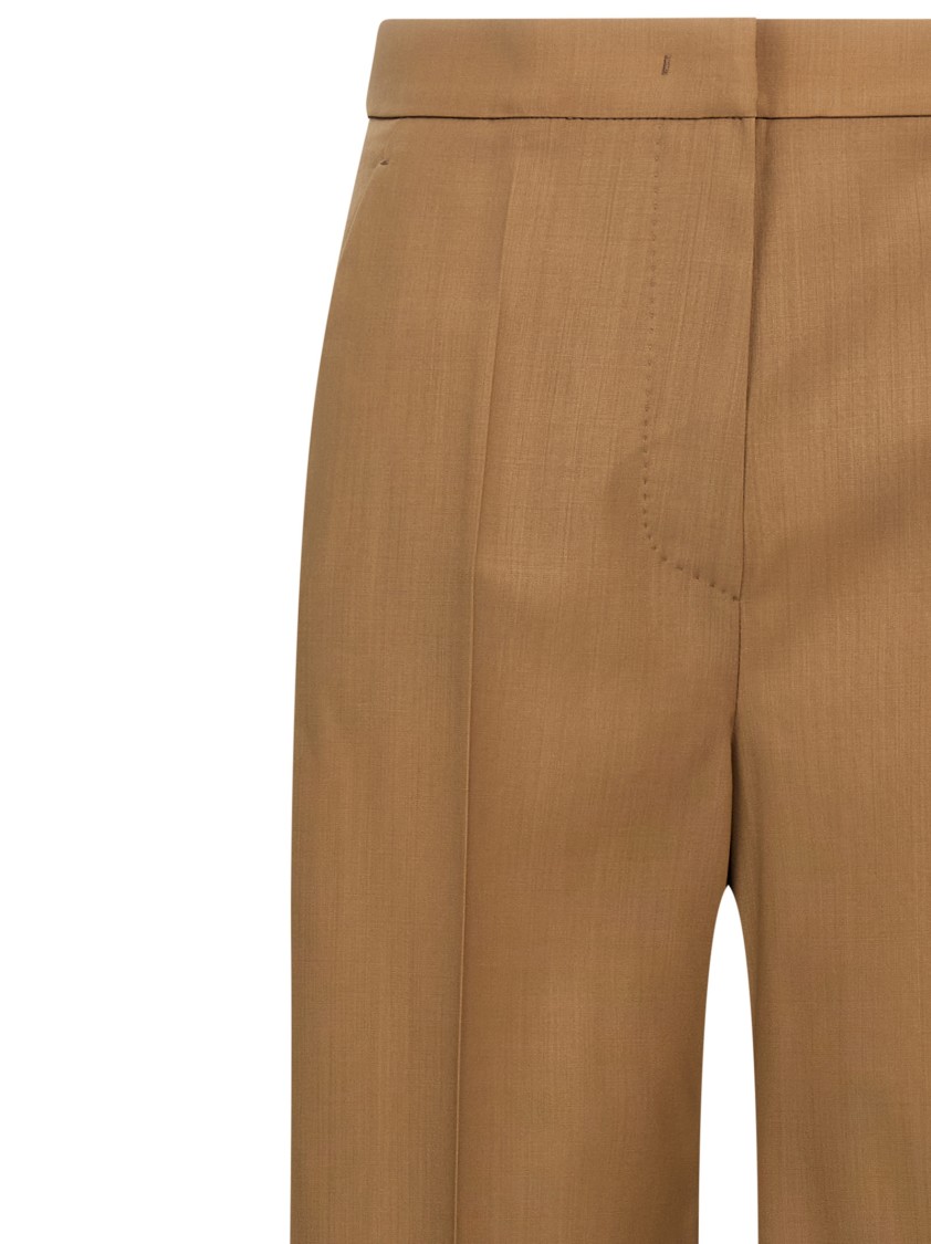 Max Mara 'fernet' Pants In Brown