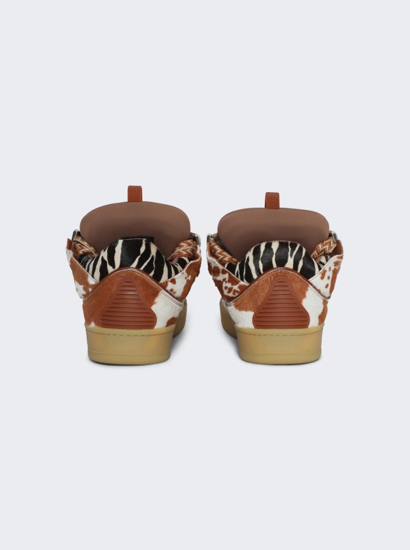 Lanvin Curb Leather Sneakers In Brown