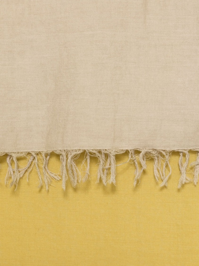 Fabiana Filippi Degrade Scarf With Delicate Fringed Edges In Neutrals