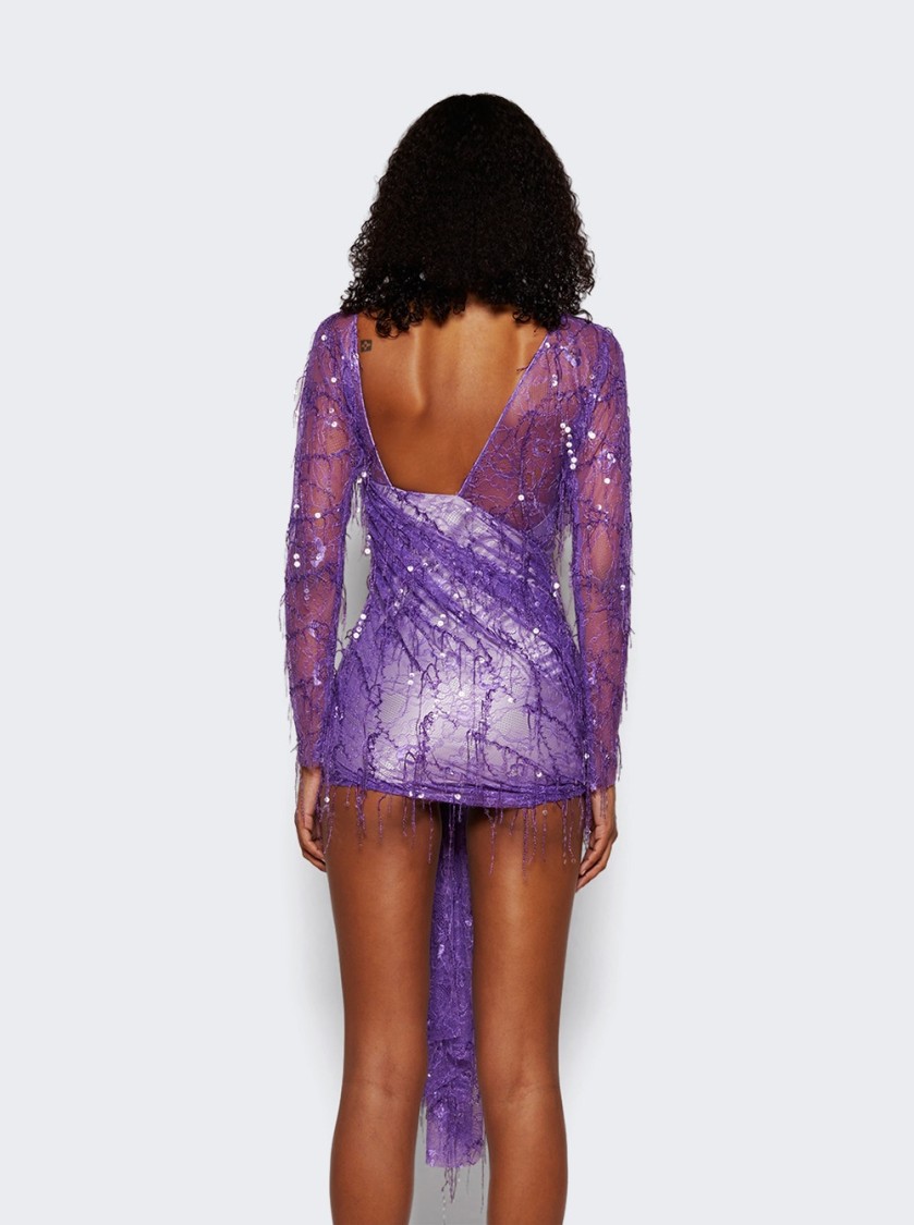Christopher Esber Encased Beaded Ivy Lace Long Sleeve Mini Dress Grape In Purple