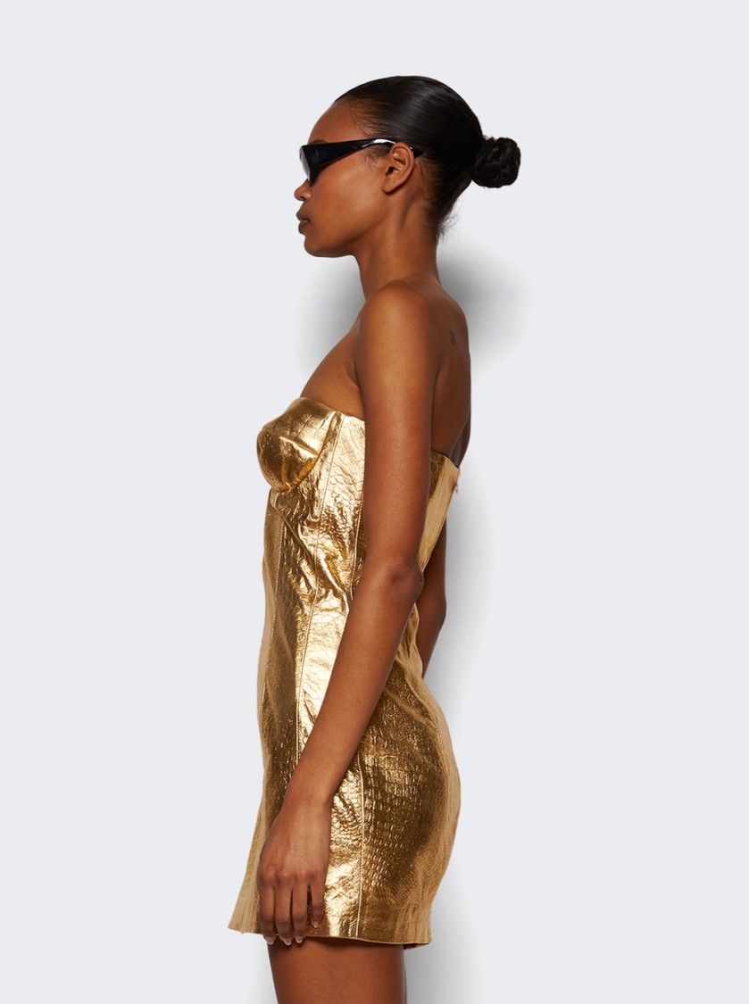 The New Arrivals By Ilkyaz Ozel Rochelle Leather Mini Dress - Solar Eclipse In Gold