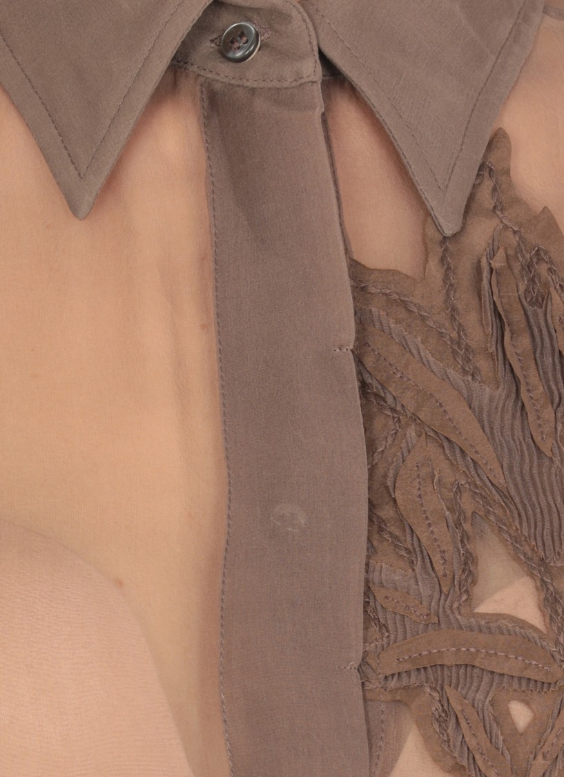 Brunello Cucinelli Brown Shirt With Semi-transparent Design And Embroidery On The Front In Silk Woman In Brown