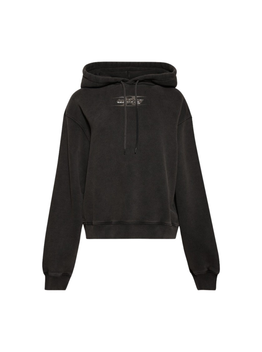 Alexander Wang T T By Alexander Wang Blade Logo Hoodie Washed Cedar
