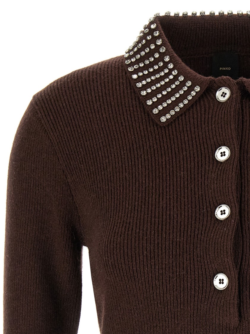 Pinko Emilia Sweater With Strass In Brown