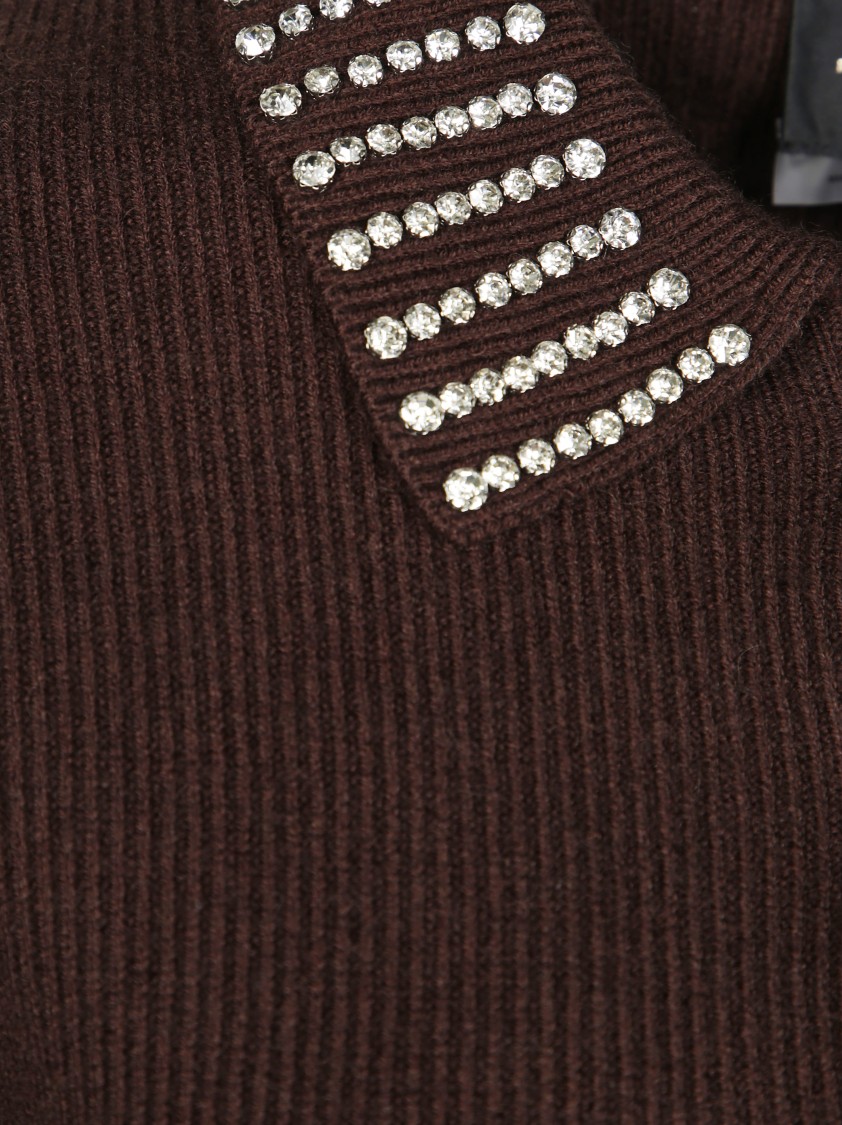 Pinko Emilia Sweater With Strass In Brown