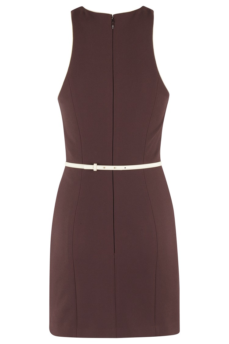 Elisabetta Franchi Mini Dress With High Neckline And Removable Belt In Brown