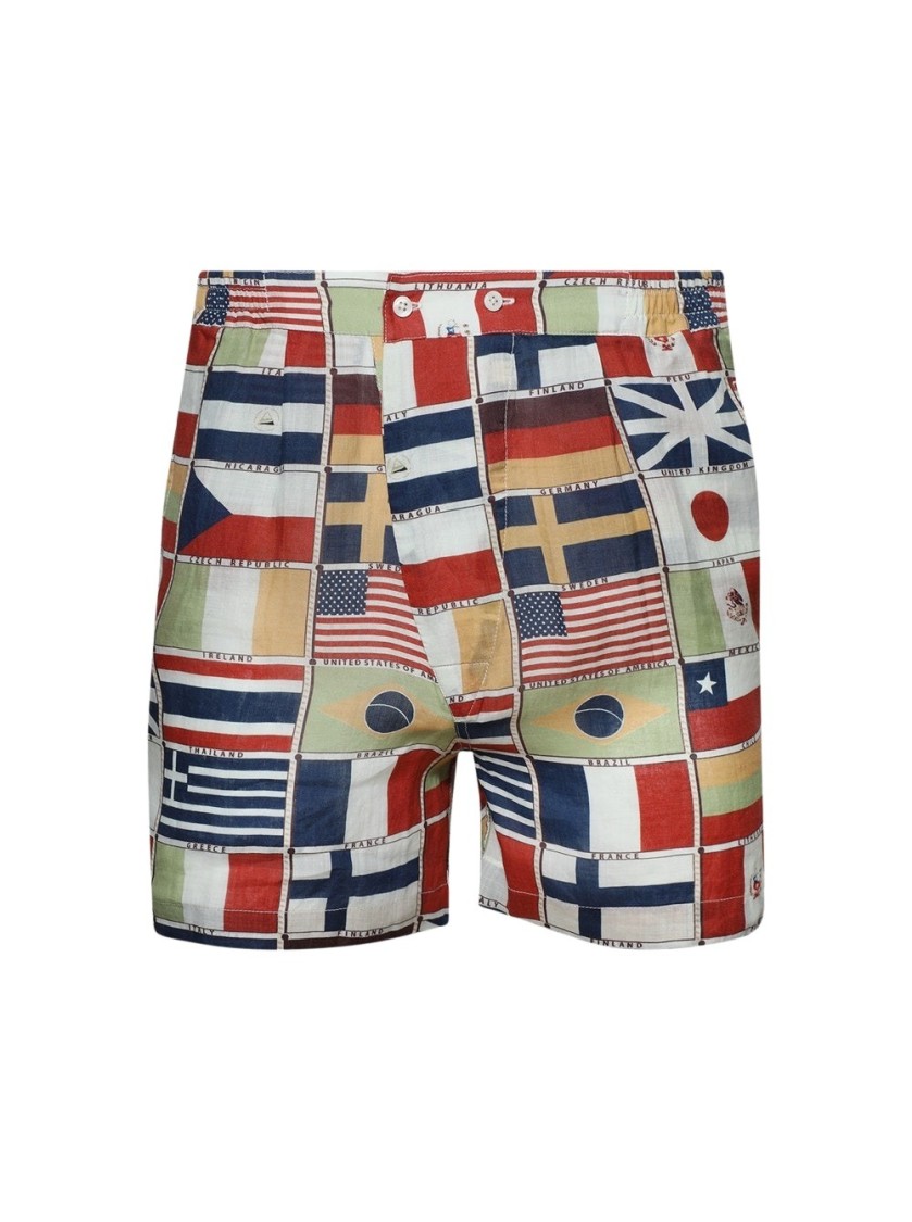 Bode International Straight-leg Printed Linen Shorts In Multicolor