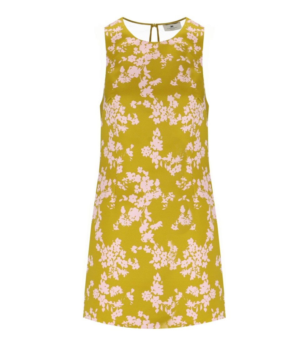 Elisabetta Franchi Printed Duchesse And Tulle Dress In Yellow