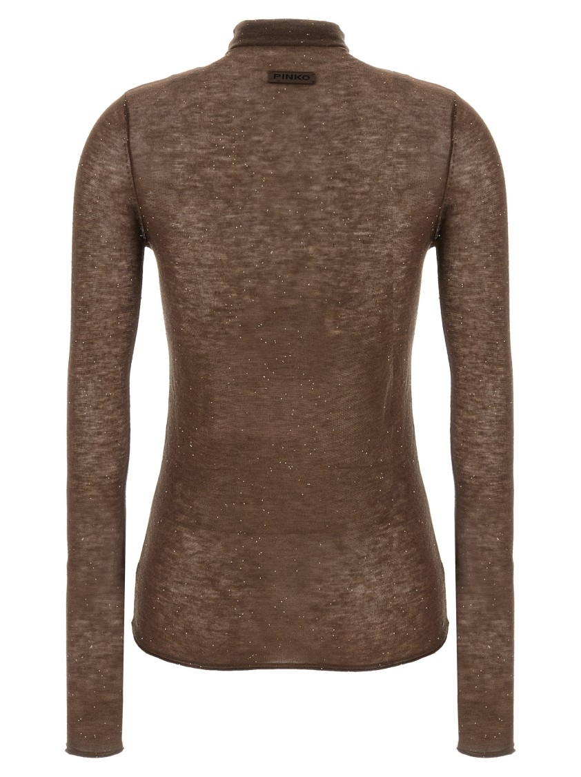 Pinko Sweater In Brown