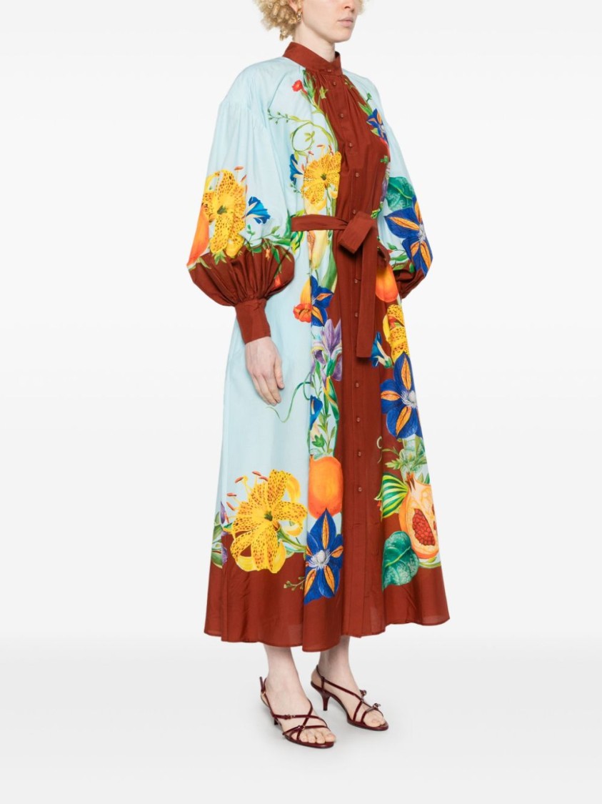 Alemais Dahlia Printed Cotton-blend Midi Shirt Dress In Blue