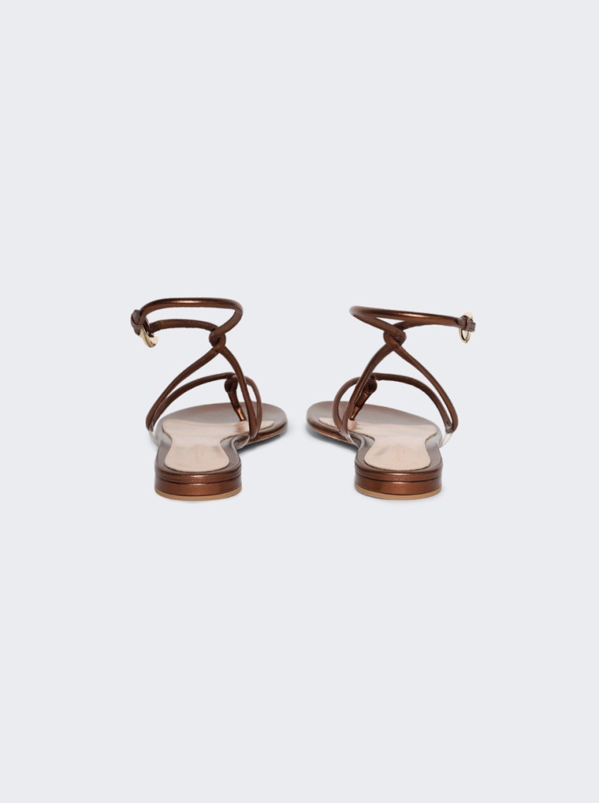 Gianvito Rossi Black Mamba Flat Sandals Chocolate In Brown